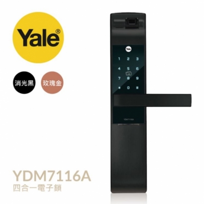 YDM7116A.JPG