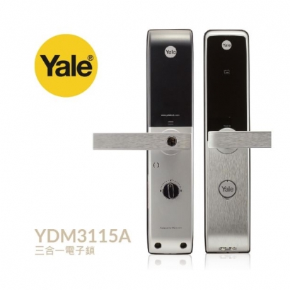 YDM3115A.JPG